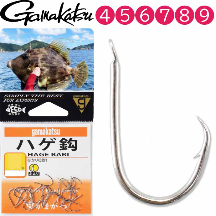 関羽 × 成功馬｜縁起掛け軸　※値下げ交渉どうぞ！ 掛軸 (掛け軸) 2022年干支 猛虎 井川宏和 尺五立 約横60cm×縦