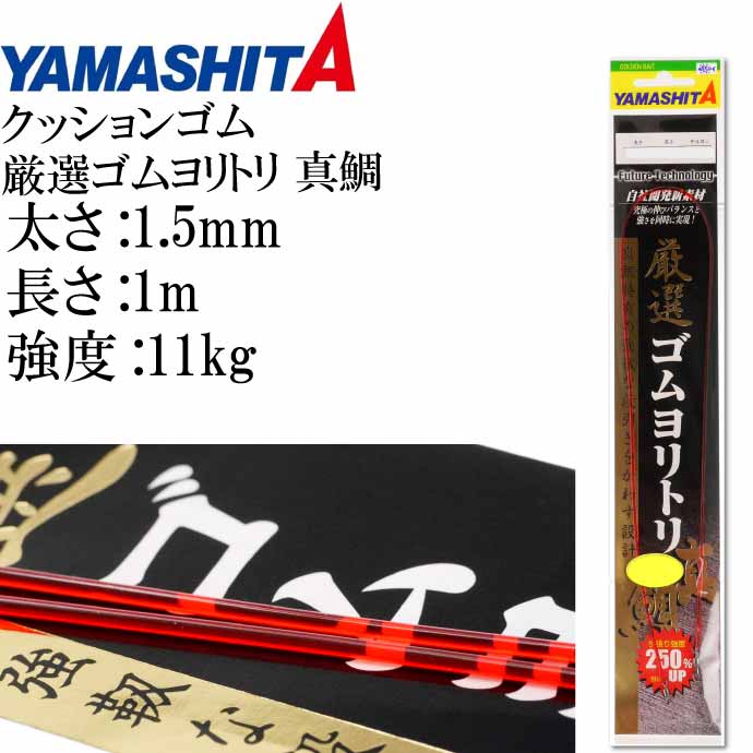 楽天市場】クッションゴム 厳選ゴムヨリトリ 青物 2mm 長1m 強度20kg 適合ハリス10号 YAMASHITA ヤマシタ ヤマリア  357-097 釣り具 Ks1710 : ASE WORLD