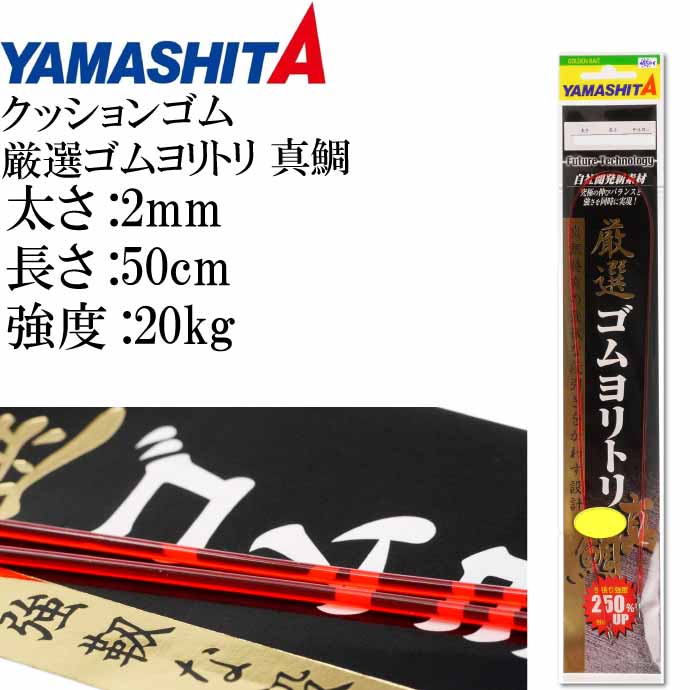 楽天市場】クッションゴム 厳選ゴムヨリトリ 真鯛 2mm 長1m 強度20kg 適合ハリス10号 357-066 YAMASHITA ヤマシタ ヤマリア  釣り具 Ks176 : ASE WORLD