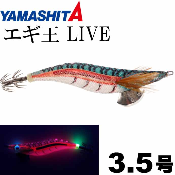 ks-4510001620122.jpg