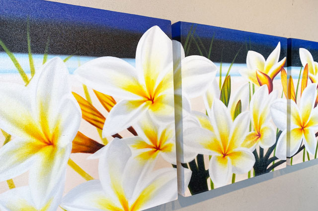 高級ブランド 絵画 プルメリア 40 40cm 3枚 6 Fucoa Cl