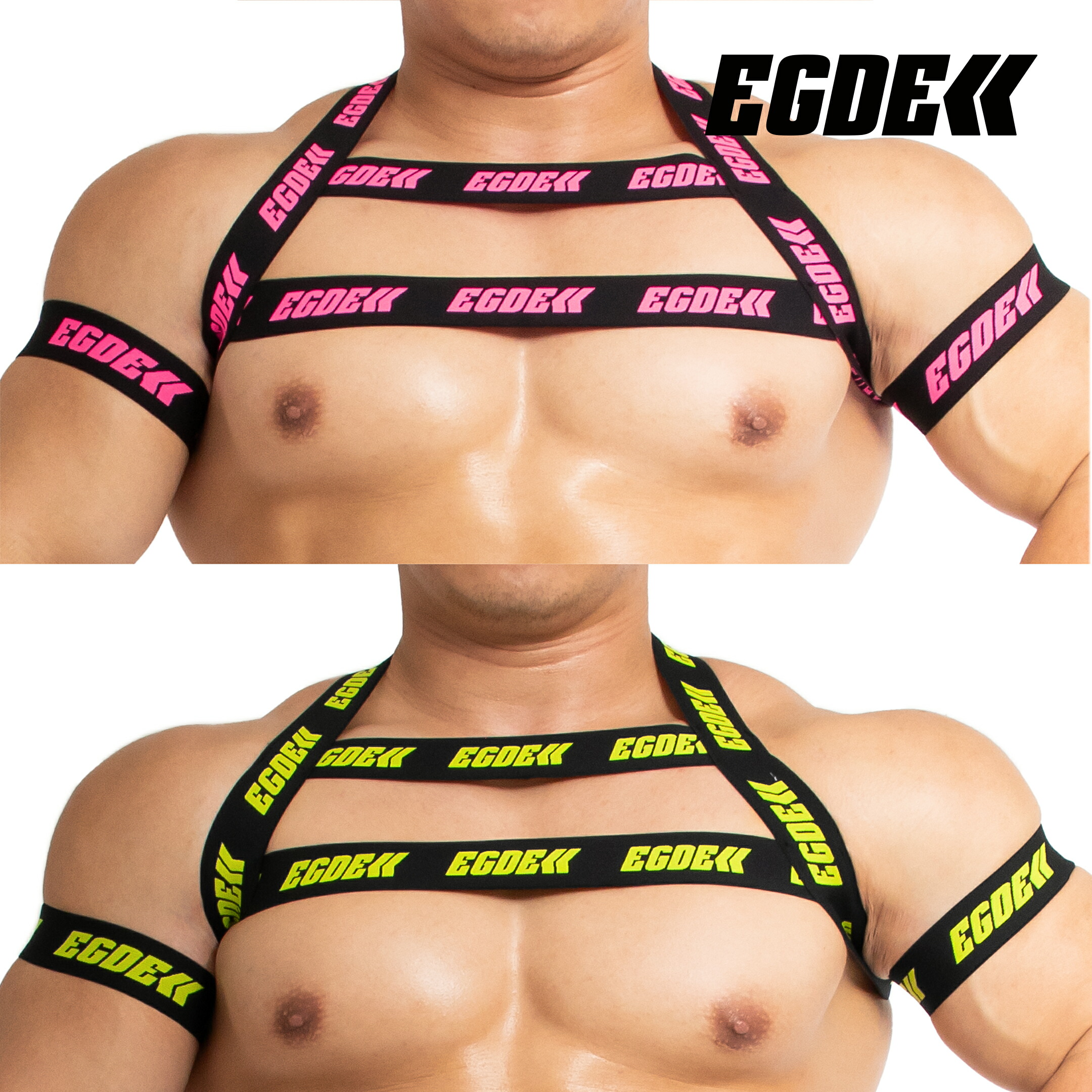 楽天市場】【3691】RAVE wline harness & armband set : EGDE