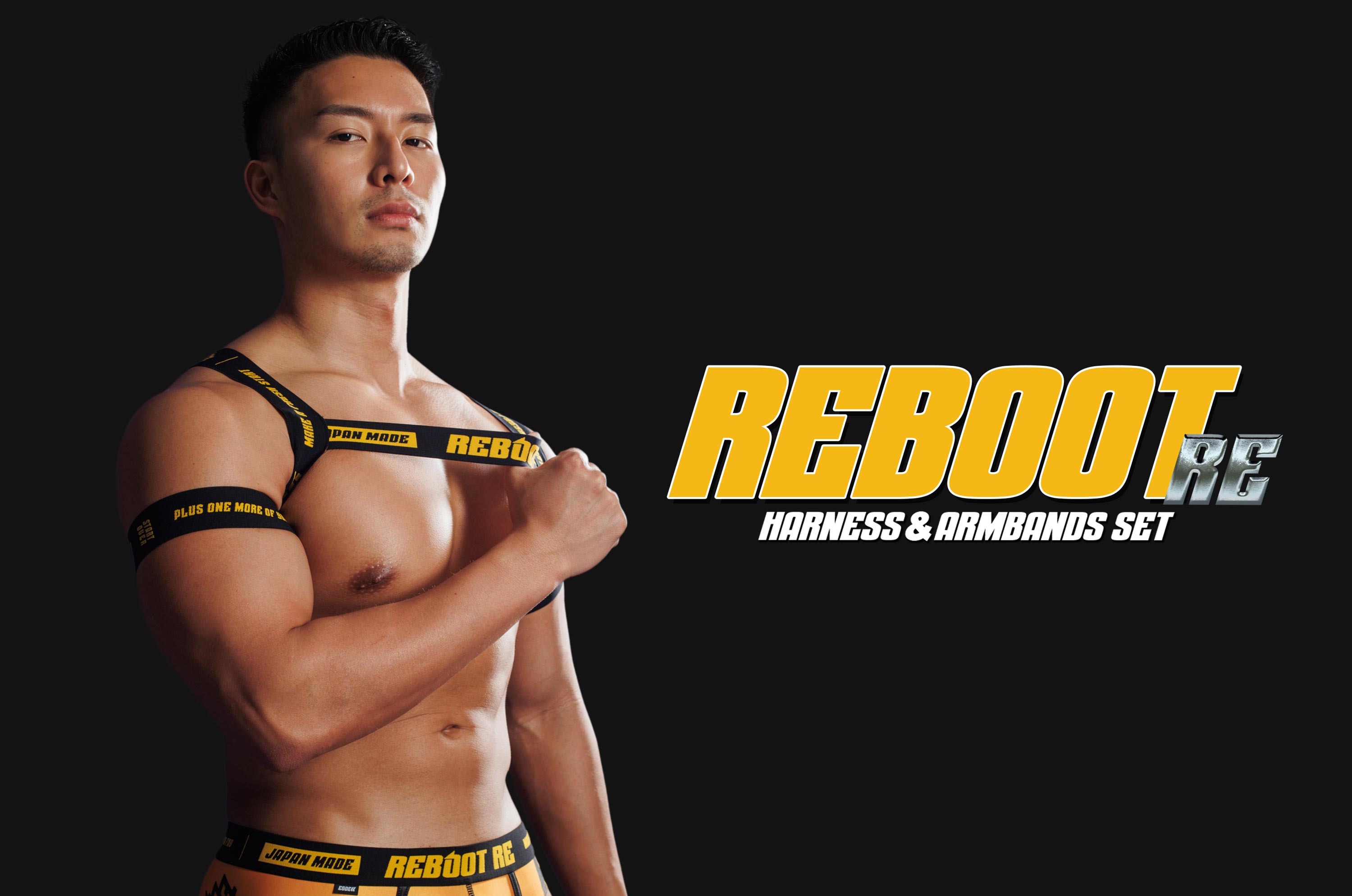 4045 REBOOT RE harness & armbands set バナー