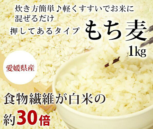 楽天市場 もち麦 押し 1kg 愛媛県産 白いもち麦 オリジナル 雑穀米 ダイエット 国産 大麦 もちむぎ 食物繊維 押してある もっちり ご飯 健康 美肌効果 穀物 低カロリー 美肌 簡単 もちもち ダイエット効果 食品 もち麦ごはん 愛媛県 おいしい 国内産 1キロ Bグルカン