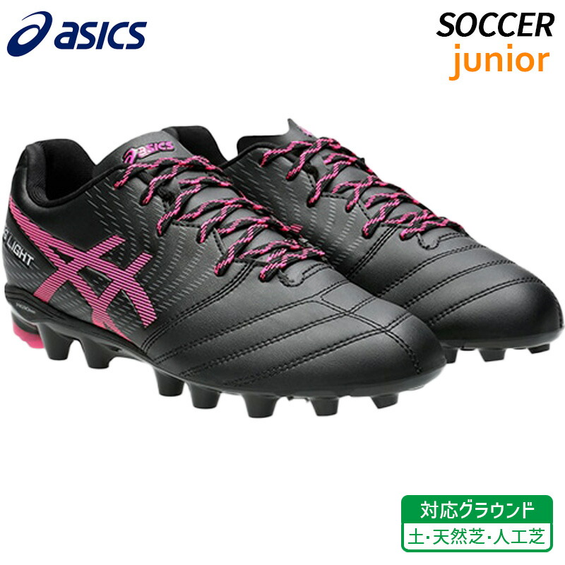 DSライト  6000円 1104a054-001_1.jpg