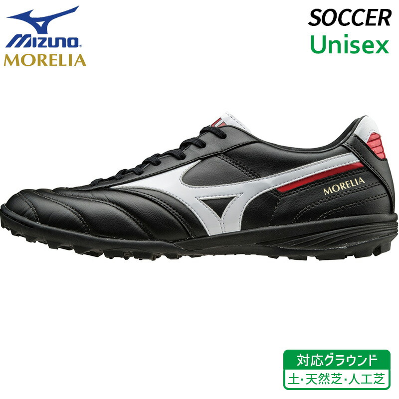 q1gb160001-0.jpg