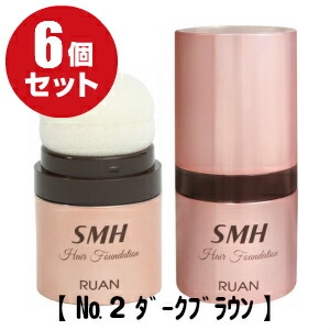 【送料無料】（６個セット）スーパーミリオンヘアー ヘアファンデーション 12g No.2 ダークブラウン