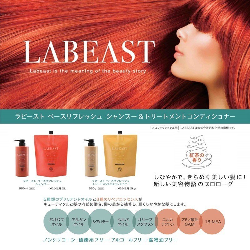 新作販売 昭和化学 ラビースト LABEAST ベースリフレッシュ ノンシリコンシャンプー 550ml トリートメントコンディショナー 550g  セット vlv-law.be