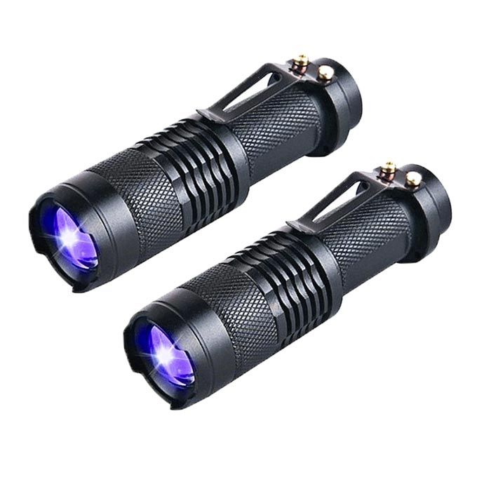 光るアサラト パチカ2個＋専用LEDライト＋ACアダプターセット◆グロー　蓄光 楽天市場】【楽天スーパーSALE 10％OFF】蓄光ライト 夜光 グロー