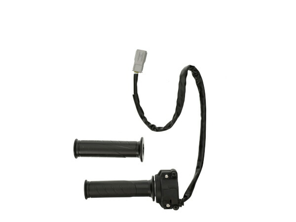 ドゥカティ 純正 モンスター 797 1200 スーパースポーツ スロットルコントロールユニット 66020093B