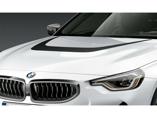 BMW 純正 カーラッピング 2シリーズ G42 G87 51145A30FD5