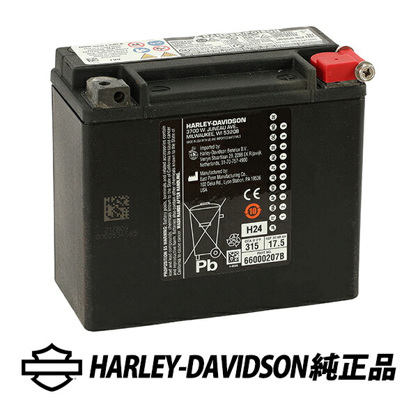 楽天市場】66000483【ハーレー純正】 H-D AGM標準装備バッテリー
