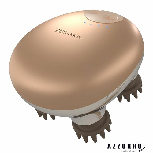 人気商品✨ZOGANKIN SCALP ゾーガンキンスカルプ EMS 楽天市場】ZOGANKIN SCALP ゾーガンキンスカルプ 【オススメ