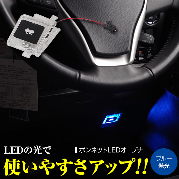 31fEeLtQumL._AC_UF1000,