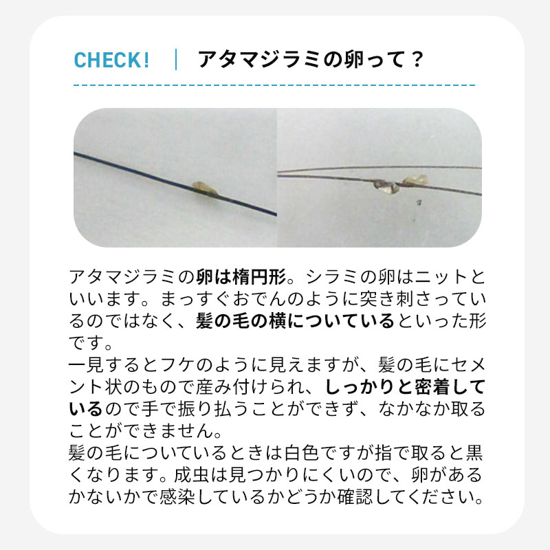 シラミ対策 シラミ駆除櫛 頭しらみ アタマジラミ 薬剤を使わない 正規