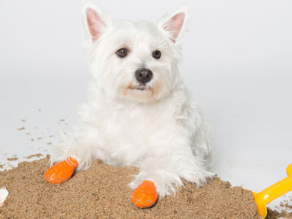 犬 シューズ Pawz Xsサイズ お散歩 オレンジ ブーツ ポウズ ラバードッグブーツ 使い捨て 小型犬用 肉球保護 防水 お求めやすく価格改定 ブーツ