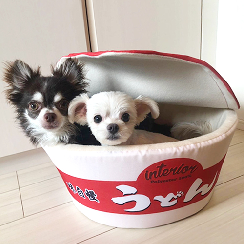 楽天市場 犬 猫 ペット用 ベッド ソファ カップ麺ペットソファ うどん ディーシーコンフォート