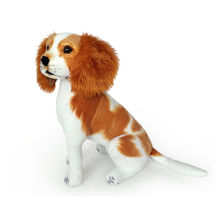 イタリア リアル コッカースパニエル キャバリア 犬 ぬいぐるみ アートドール イタリア リアル コッカースパニエル キャバリア 犬 ぬいぐるみ アート
