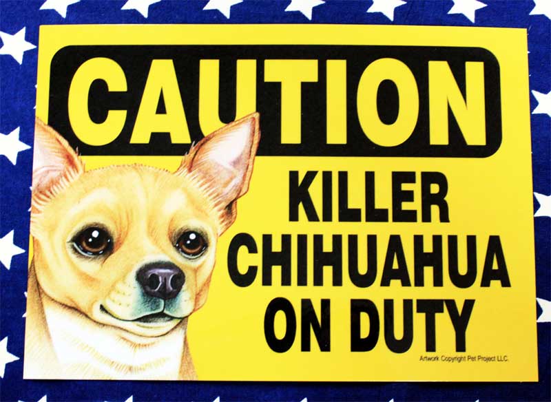 楽天市場】チワワ 雑貨 プラスチックプレート 002 KILLER CHIHUAHUA ON