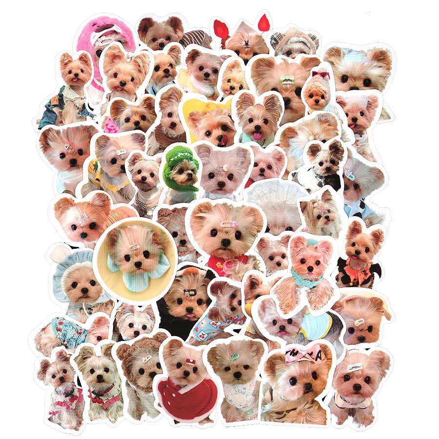 楽天市場】【メール便送料無料】ヨークシャーテリア キーホルダー