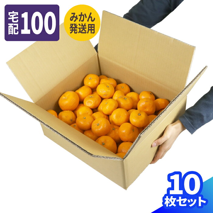 みかん発送用 ダンボール 100サイズ 10枚～30枚 (365&times;310&times;140) みかん箱 ダンボール みかん 5kg用 強化ダンボール 100 段ボール ダンボール箱 段ボール箱 梱包資材 梱包材 梱包 宅配100 箱 宅配箱 ヤマト 宅急便 ゆうパック 宅配 ボックス 果物 発送 みかん 発送箱 (0459)｜アースダンボール店