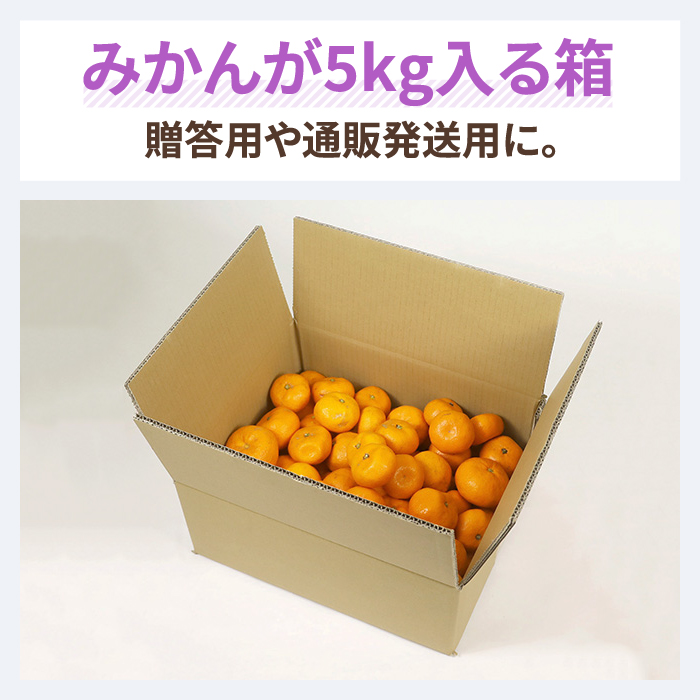 楽天市場 みかん5kg用ダンボール 10枚 0459 ダンボール 段ボール ダンボール箱 段ボール箱梱包用 梱包資材 梱包材 梱包ざい 梱包 箱 宅配箱 宅配 引っ越し 引っ越しセット 引っ越し用 引越し ヤマト運輸 ボックス 100サイズ 食品用 箱職人のアースダンボール