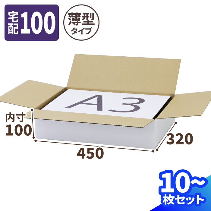 BCP-A3 100個入り　新品未開封品　1箱のお値段 たのめーる】PPC PAPER High White A3 1箱(1500枚:500枚×3冊)の通販