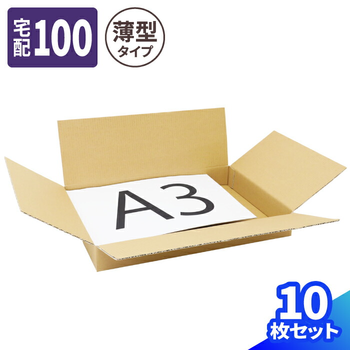 楽天市場】【送料無料】ダンボール 100サイズ 10枚 (489×339×131) A3