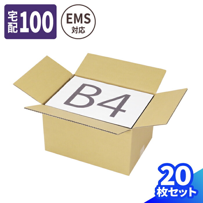 EMS ダンボール 100サイズ 20枚 (374×267×218) 国際郵便 ダンボール 100 段ボール 引っ越し 宅配100 箱 小型包装物 ダンボール箱 B4 段ボール箱 梱包用 梱包資材 梱包材 梱包 宅配箱 ヤマト 宅急便 ヤマト運輸 佐川 宅配 収納 引越し 海外 引越 海外発送 (0741) 9,490円