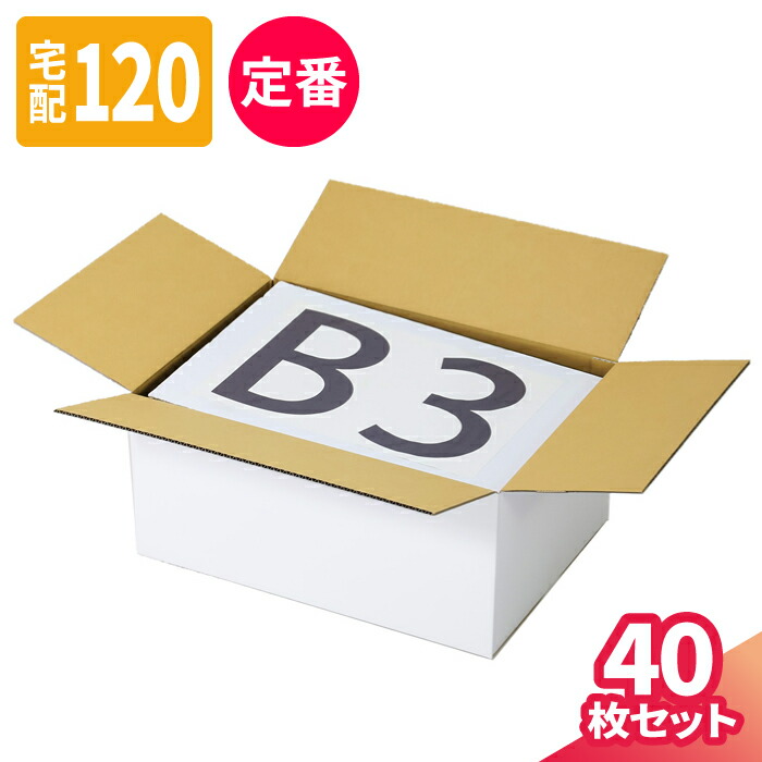 ダンボール 120サイズ 40枚 (535&times;385&times;240) 宅配120 箱 段ボール 120 ダンボール箱 B3 段ボール箱 梱包用 梱包資材 梱包材 梱包 宅配箱 ヤマト 宅急便 ヤマト運輸 ゆうパック 佐川 宅配 引越し B3サイズ 保管箱 書類整理 衣類 収納 大型 大きい 白ダンボール 白箱 (5518)｜アースダンボール店