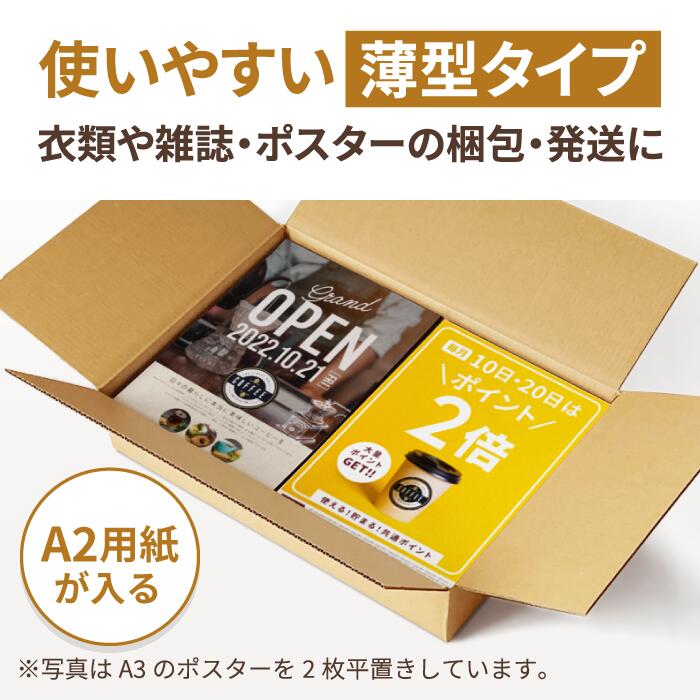 大人気新作 ダンボール 120サイズ 40枚 610×430×120 段ボール 宅配120 ダンボール箱 A2サイズ 120 段ボール箱 梱包用  梱包資材 梱包 箱 A2 宅配 引っ越し 引っ越し用 引越し 発送箱 ヤマト運輸 佐川 衣類 収納 雑誌 保管箱 クラフト ボックス 5619  fucoa.cl