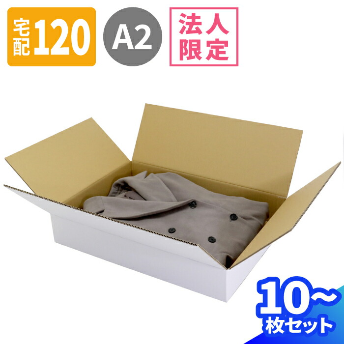 ダンボール箱ページ 楽天市場】薄型 ダンボール 120サイズ A2 40枚 白 (610×440×100) 浅型