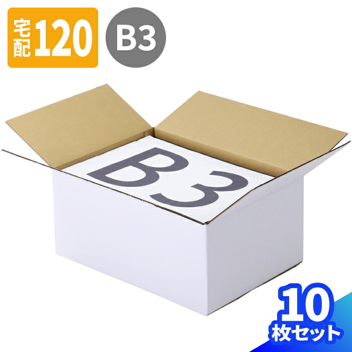 ダンボール 120サイズ 10枚～30枚 (540&times;380&times;240) B3 段ボール 100 ダンボール箱 白 段ボール箱 梱包用 梱包資材 梱包材 梱包 宅配100 箱 3辺合計120cm 宅配箱 ヤマト 宅急便 ヤマト運輸 ゆうパック 佐川 宅配 引っ越し 引越し ボックス 衣類 収納 発送 書類整理 (0900)｜アースダンボール店
