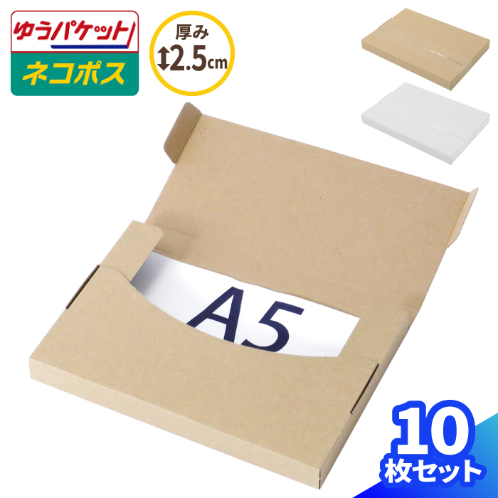 最新作の 縦型厚紙封筒 送料無料 パック ライトンA5×250枚 その他