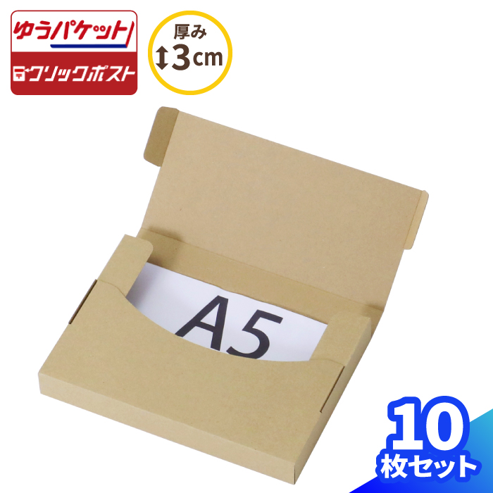 春色3カラー✧ ○ ○新商品【100枚】新規格A4サイズ(最大)ネコポス対応