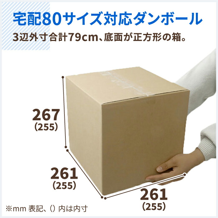 送料無料】立方体 ダンボール 80サイズ 100枚 (255×255×255) 正方形