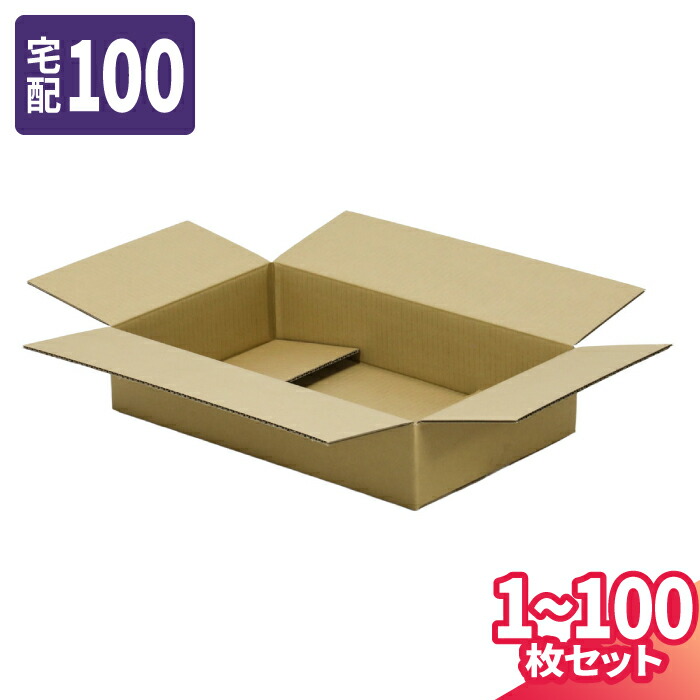 ダンボール 100サイズ 1枚～100枚 (600×260×100) 宅配100サイズ 段ボール 段ボール箱 梱包資材 梱包材 梱包 箱 宅配箱 ヤマト 宅急便 ヤマト運輸 ゆうパック 佐川 宅配 (8310)
