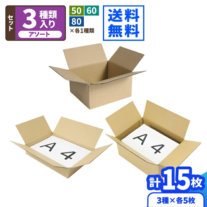 まとめ）TANOSEE 宅配用ダンボール箱 120-B3 1パック（20枚） 【×3