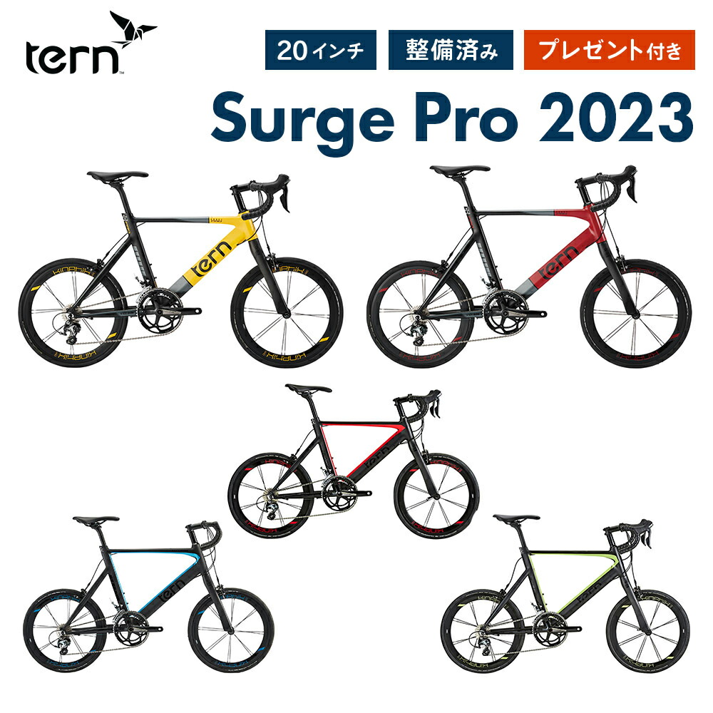 楽天市場】【クーポン→12月2日1:59まで】【20%OFF】Tern ターン