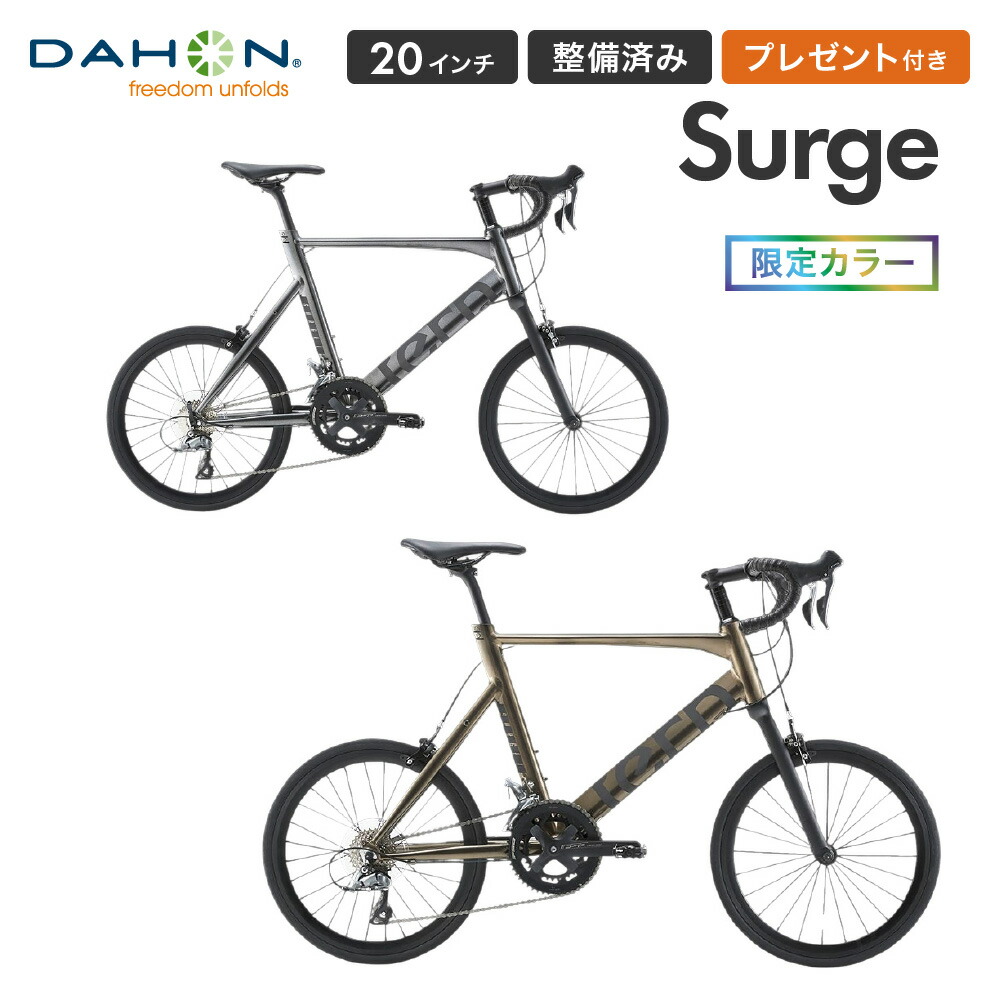 楽天市場】Tern ターン 自転車 ミニベロ Surge PRO サージュ プロ 2024年モデル 20インチ 451ホイール 20段変速  エアロフレーム フレームサイズ 470 520 小径車 店頭受取対応商品 整備点検付き プレゼント付き 防犯登録可 大型車体配送 : ベストスポーツ