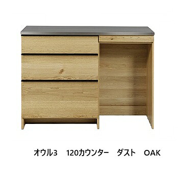 【開梱備え付ける貨物輸送無料】 ※文学批評排他的権利あり※ニッポネア (NIPPONAIRE)120カウンタ 砂ぼこり オウル3 2色相応う(OAK/WN)油絵の具ペンキ塗り開梱備え付ける貨物輸送無料北海道、沖縄、離島は別途お積もり書き