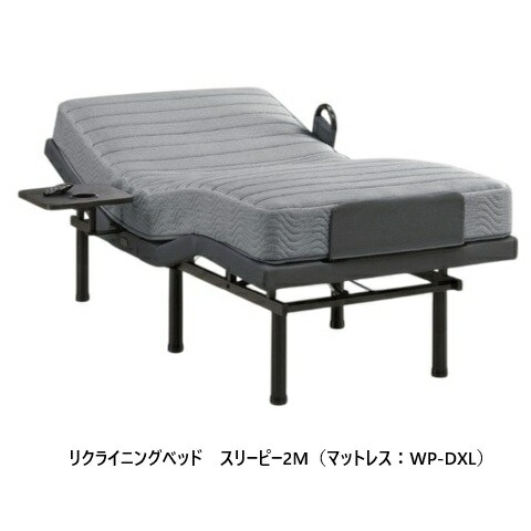 【書き割りでお得！】アンネルベッド 電動寝台 マットレス付大きな進歩 /スリーピー 2M (マットレス：WP-DLX / WP-Lite)2原動機typeC・原則としてUSB繋ぎとり備える床高4度合いコードレス制御装置付開梱据え付ける貨物輸送無料(沖縄・北海道・離島を除く)