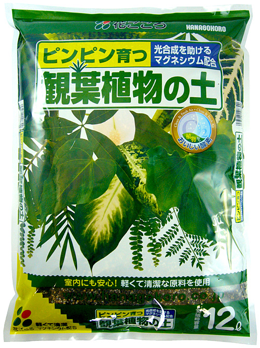 楽天市場】【花ごころ】 さぼてん多肉植物の土 １２Ｌ 培養土 初めての方でも安心。根が傷まない！！ 盆栽 園芸 ガーデニング : 植木鉢とプランターの ガーデン屋