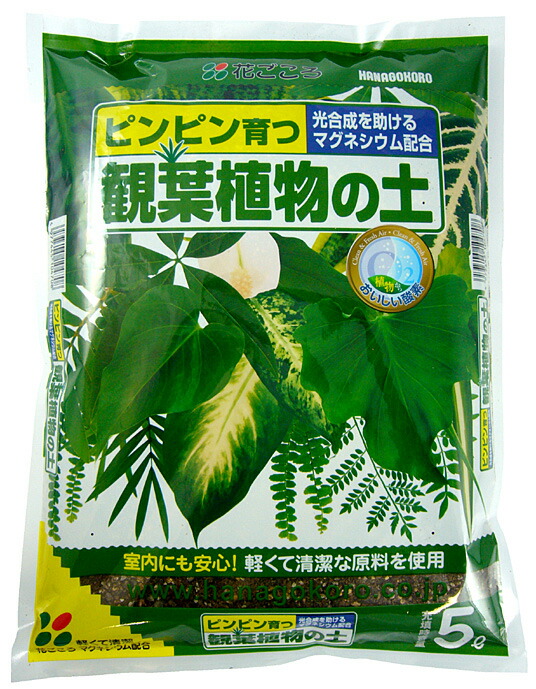 楽天市場】花ごころ クリスマスローズの土 １２Ｌ 清楚で可憐に咲かせます どっしりと根から支える重めの配合 培養土 園芸 ガーデニング  イングリッシュガーデン : 植木鉢とプランターのガーデン屋