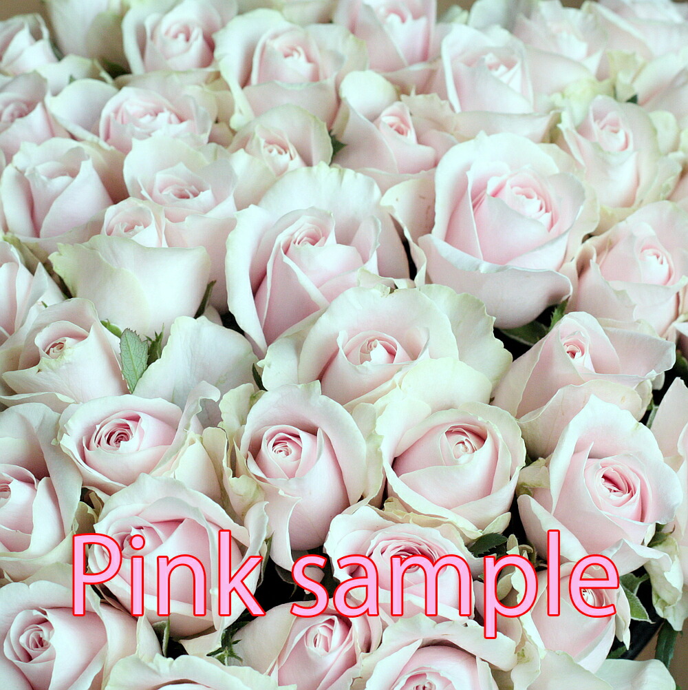 バラ 花束 0本 無料メッセージカード 結婚式 記念日 誕生日 ローズ 発表会 プロポーズ 花 ブーケ お花 フラワー おすすめ 人気 歓送迎 退職 開店祝い 結婚祝い ギフト プレゼント お返し Prescriptionpillsonline Is