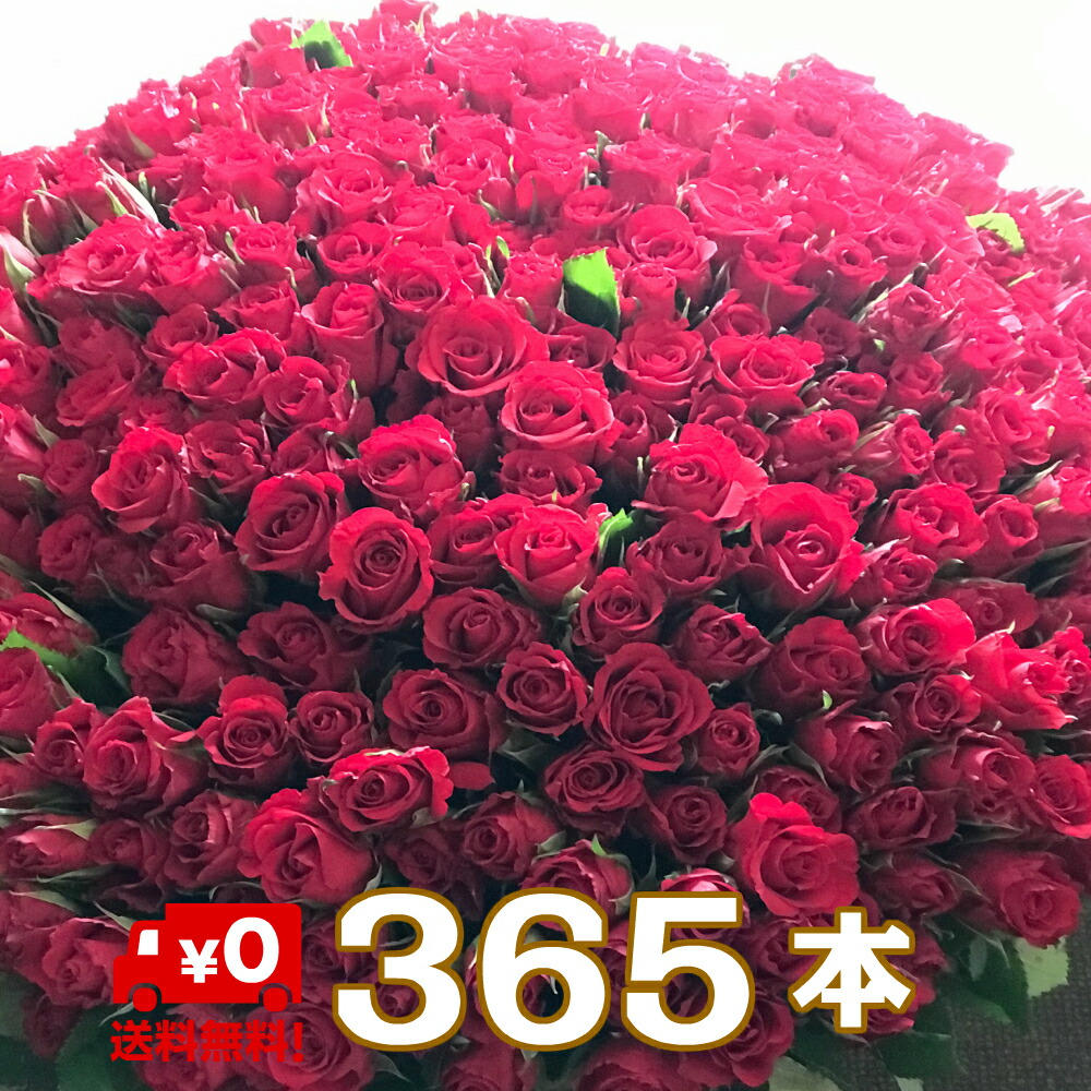 楽天市場 バラ 365本 花束 サプライズ 無料メッセージカード付 結婚式 記念日 誕生日 薔薇 ローズ 生花 花 ブーケ お花 フラワー おすすめ 人気 歓送迎 退職 開店祝い 結婚祝い ギフト プレゼント お返し 母の日 Bises Flower