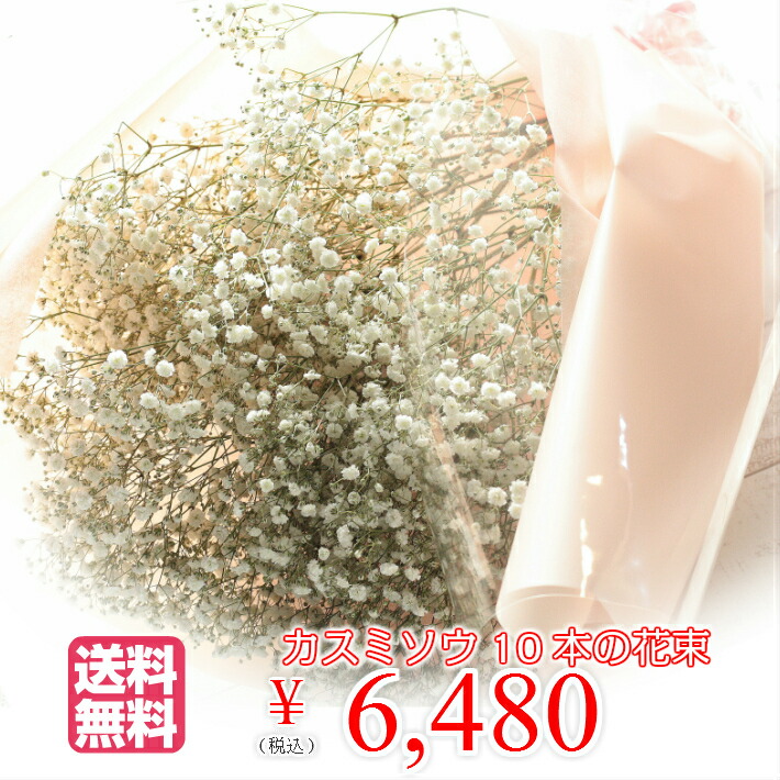 楽天市場 カスミ草 10本 花束 送料無料 記念日にカスミソウの花束を 送別 卒業 バラ 花束 カスミソウ クリスマス サプライズ ギフト プレゼント お返し Bises Flower