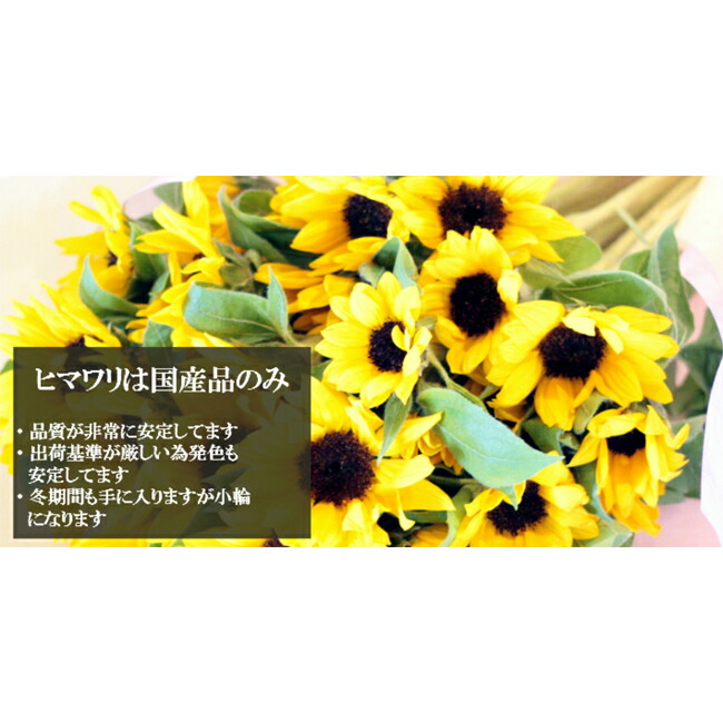 最大85 Offクーポン クール便配送 ひまわり 花束 100本 花 お花 フラワー 生花 ヒマワリ 向日葵 ブーケ ギフト プレゼント 誕生日 お誕生日 お祝い 記念日 発表会 ピアノ発表会 見舞い ラッピング ウェディング 結婚式 プロポーズ 卒業 切り花 切花 宅配 退職祝い 周年