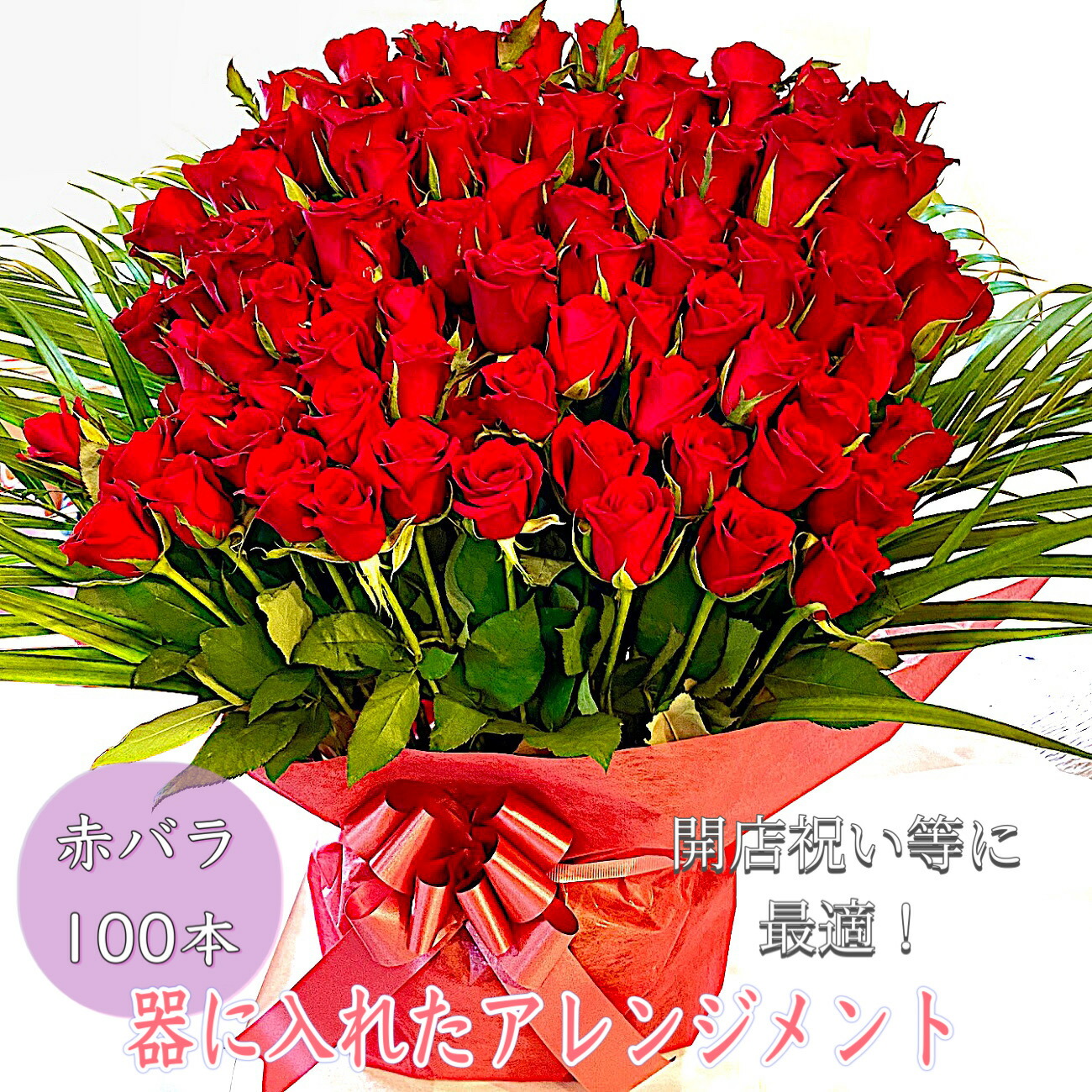 【申し合わせ】 薔薇 胸花 100本 生まれ落ちる日 言い入れる 薔薇の胸花 お上さん 花 ローズ サクラ色 薔薇の胸花 胸花 お花 御花 お上さん おすすめ 一般受け 歓送迎 隠居 開店祝賀会 一緒になる祝賀会 差し上げ物 差し上げ物 しっぺい返し カスミソウ かすみ草 母の日 白いことデー バレンタイン