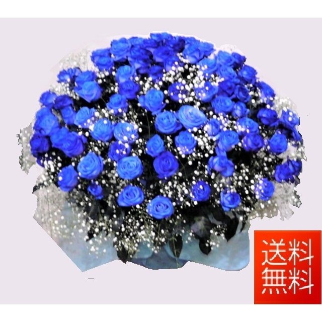 最大76 オフ バラのアレンジメント ブルーローズ 100本 かすみ草 ブルーローズのアレンジメント 青いバラ 誕生日 花 Sferavisia Hr